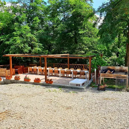 Gospodarstwo agroturystyczne Shazin Stud Alseno