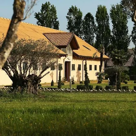 Gospodarstwo agroturystyczne Shazin Stud *