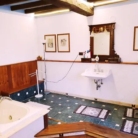 Gospodarstwo agroturystyczne Shazin Stud Alseno