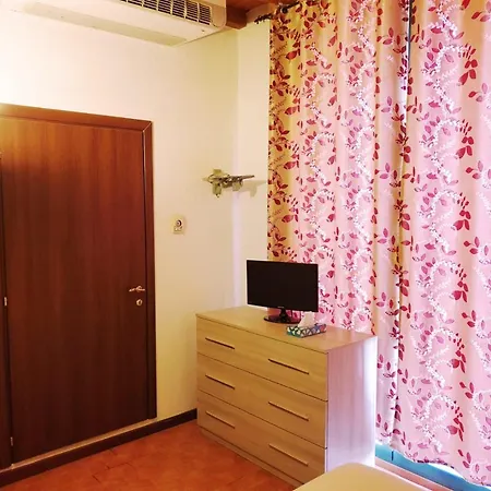 Gospodarstwo agroturystyczne Shazin Stud