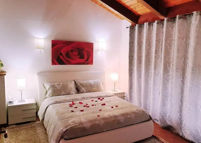 Shazin Stud * Alseno