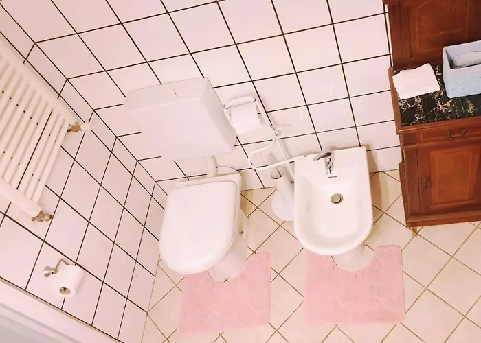 Shazin Stud Séjour à la ferme