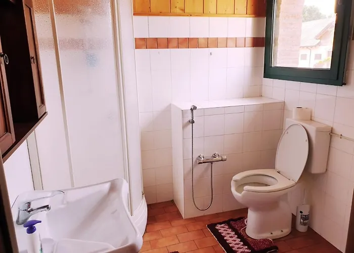 Shazin Stud Séjour à la ferme