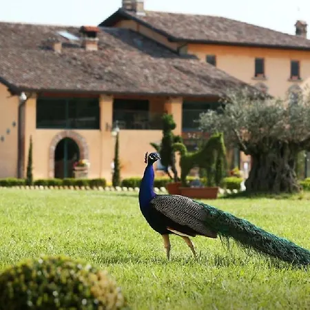 Shazin Stud בית חווה