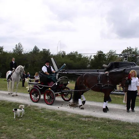 בית חווה Shazin Stud Alseno