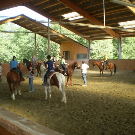 Shazin Stud * Alseno