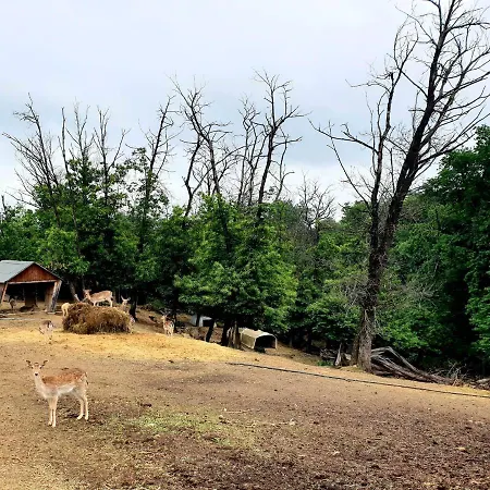 Séjour à la ferme Shazin Stud