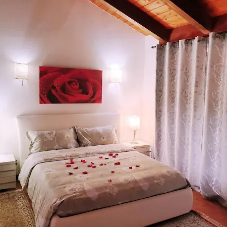 Shazin Stud * Alseno