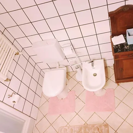 Shazin Stud Séjour à la ferme