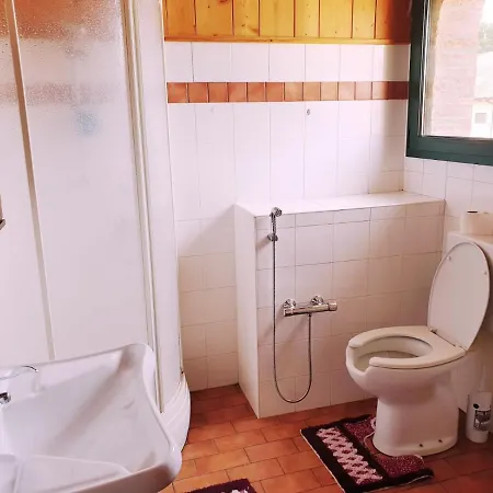 Shazin Stud Séjour à la ferme