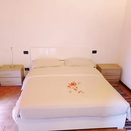 Séjour à la ferme Shazin Stud Alseno