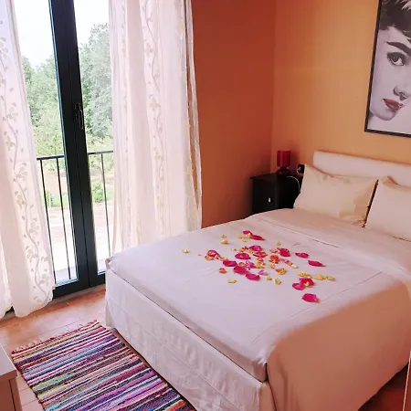 Shazin Stud Séjour à la ferme Alseno