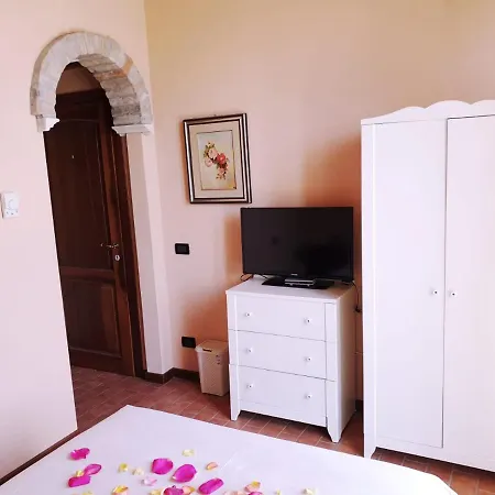 בית חווה Shazin Stud *