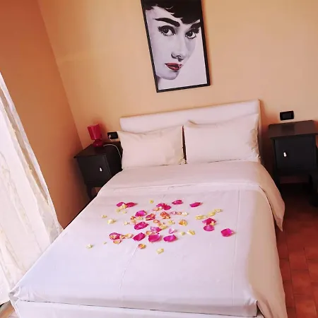 בית חווה Shazin Stud