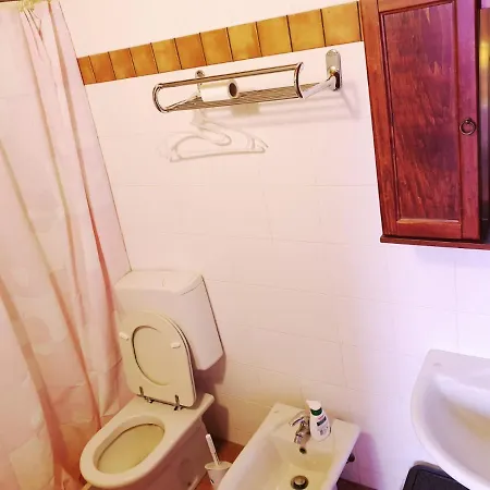 Shazin Stud * Alseno