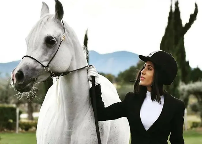 Agroturismo Shazin Stud