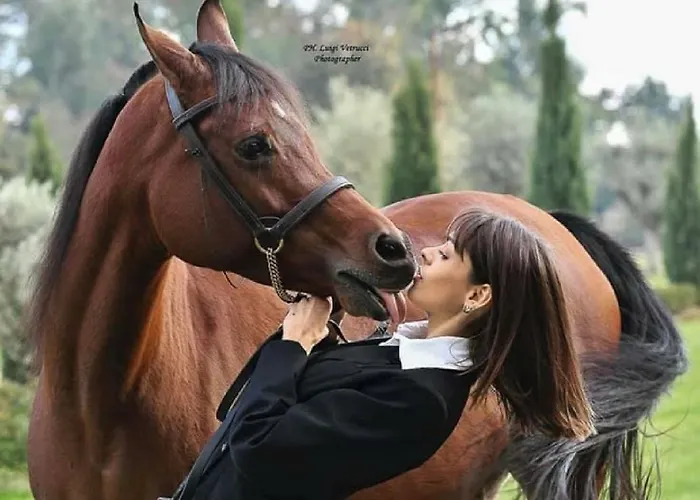 Agroturismo Shazin Stud Alseno