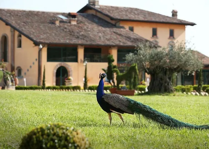 Shazin Stud Alloggio per agriturismo