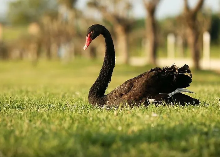 Alloggio per agriturismo Shazin Stud *