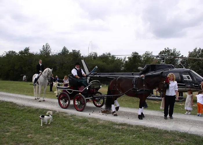 Agroturismo Shazin Stud Alseno