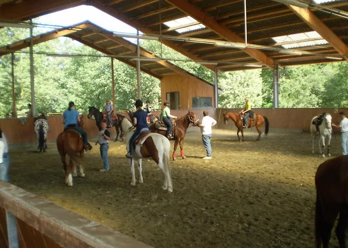 Shazin Stud * Alseno