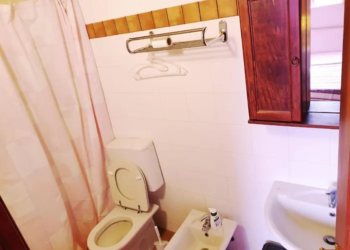 Shazin Stud * Alseno